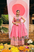 Pink Shimmer Embroidered Elephant Motif Lehenga Choli Set Dress