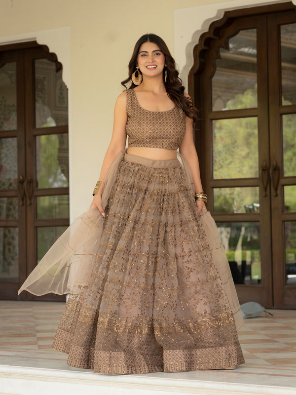 Taupe Zari Embroidered Net Lehenga Choli Ensemble with Dupatta